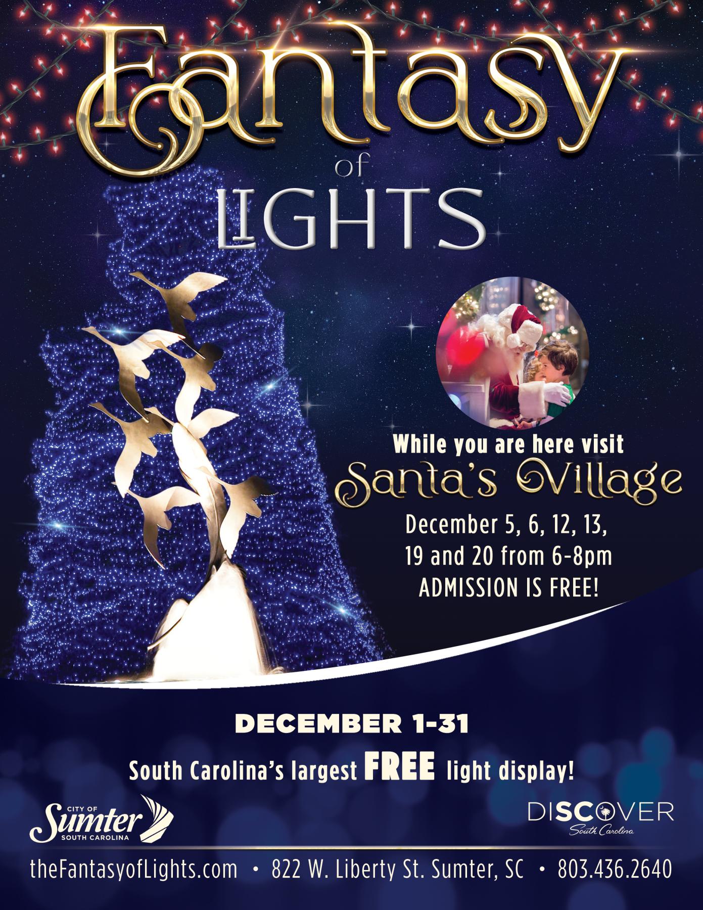 Fantasy of Lights 2025 Poster