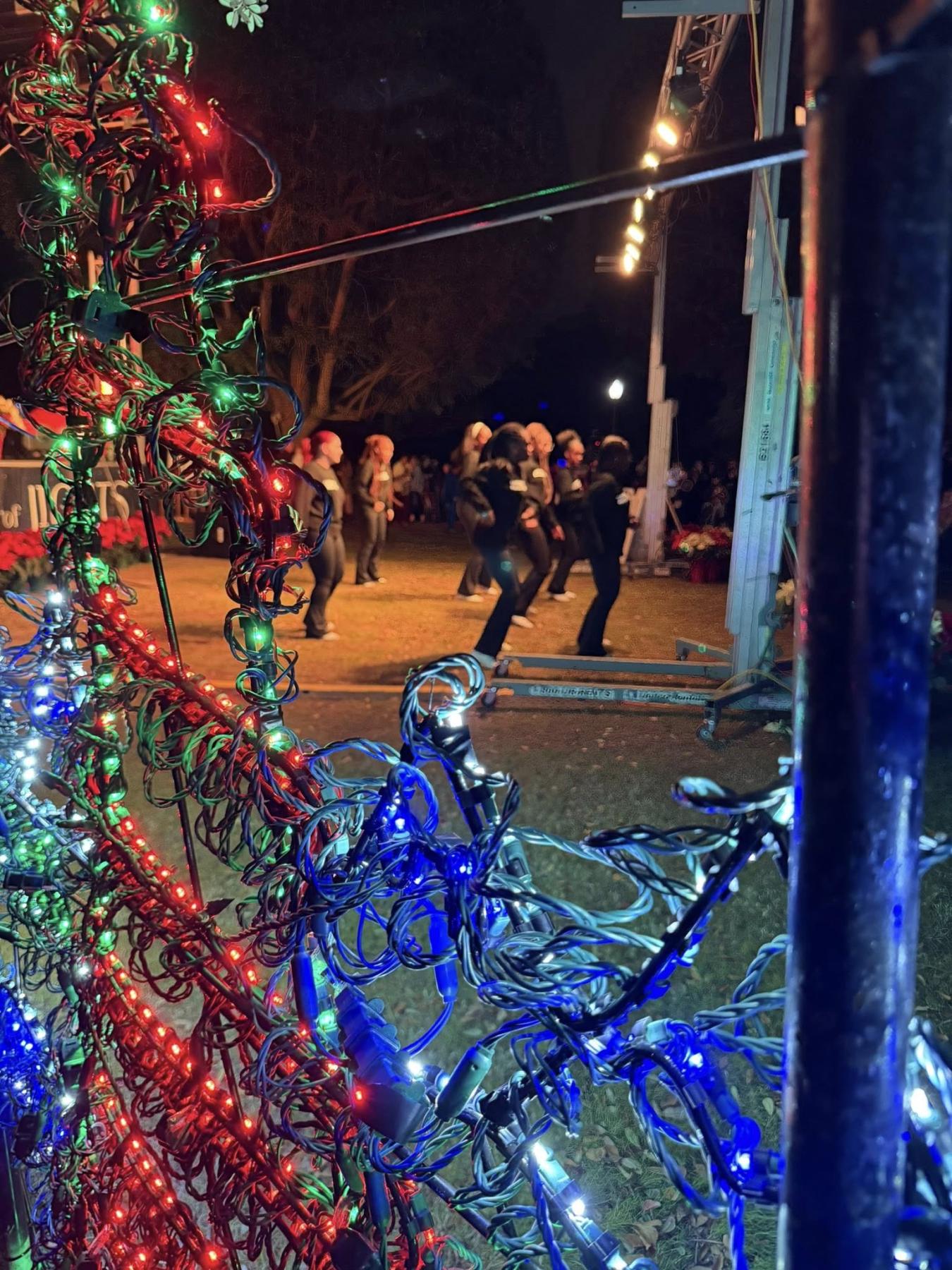 Performers dance in front of the crowd.