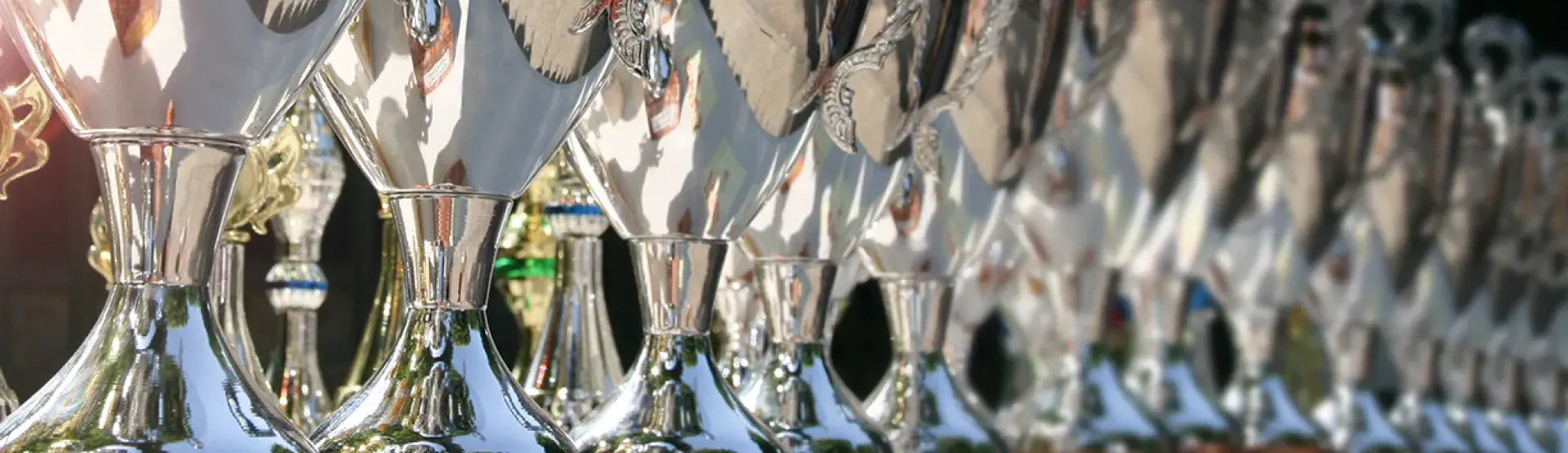 Awards lined on a table