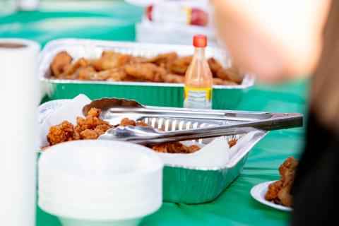 Gator Bites and Frog Legs on Display